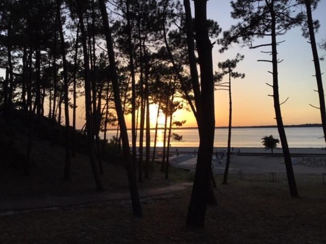 Arcachon Villa Aux Abatilles المظهر الخارجي الصورة